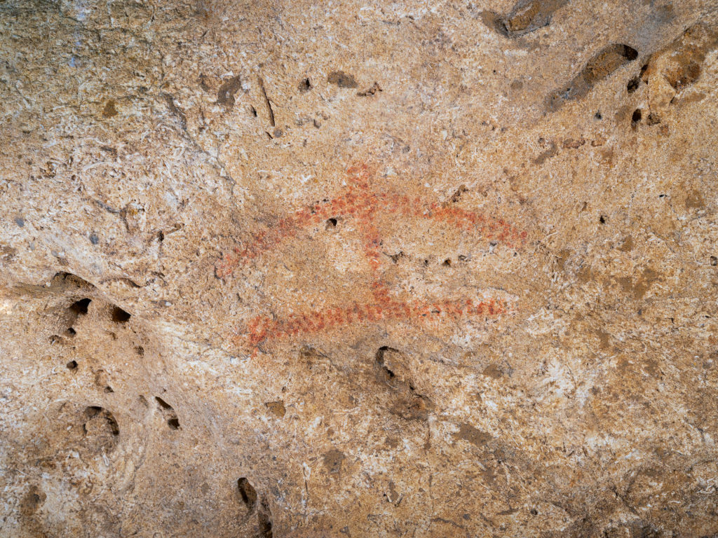 Tectiformes de la Grotte de Font de Gaume